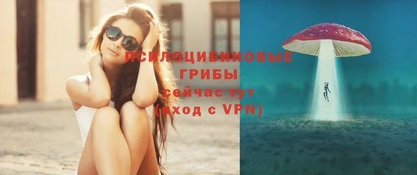 амф Дмитровск