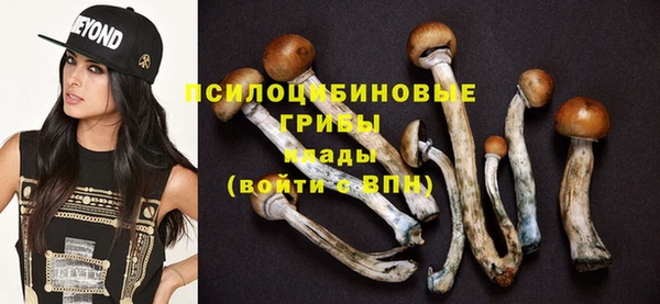 круглые Дмитриев