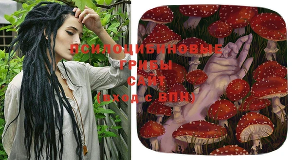 амф Дмитровск